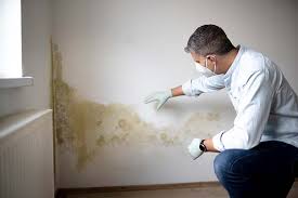 Best Crawl Space Mold Remediation  in Robertsville, NJ